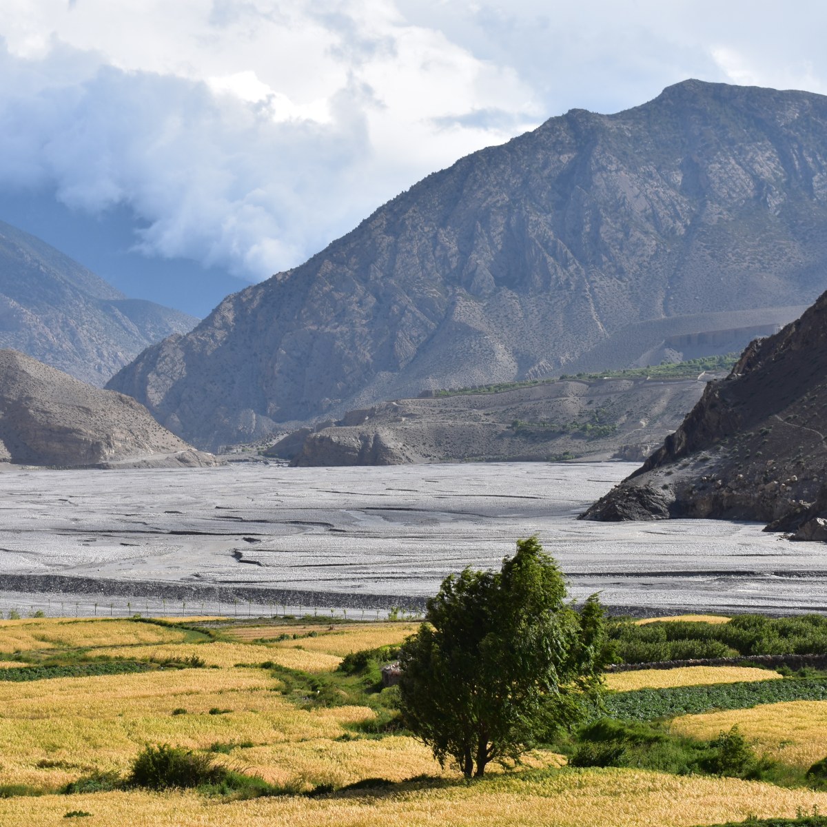 Sounds From a Dream&nbsp;Place