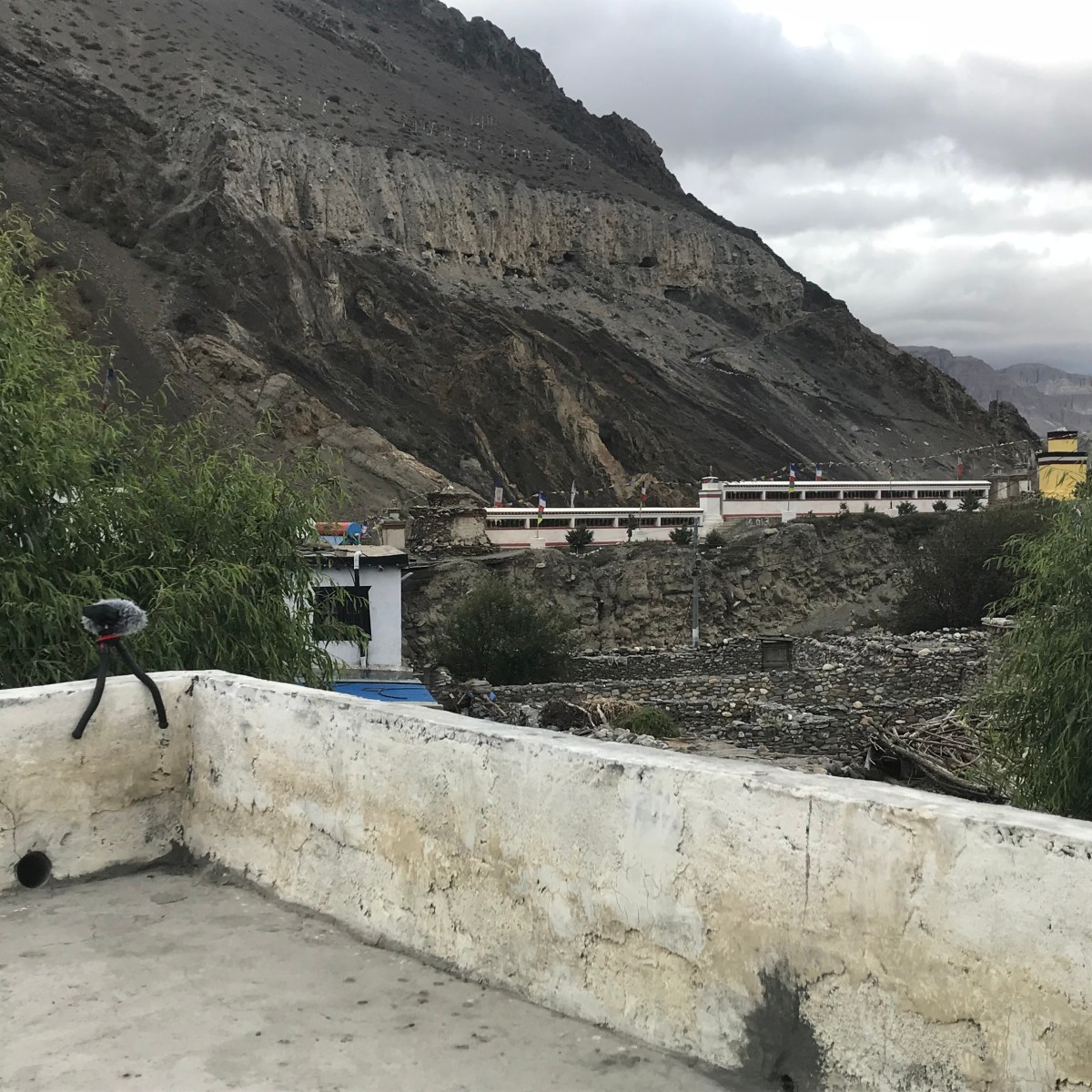 Panels and Publications